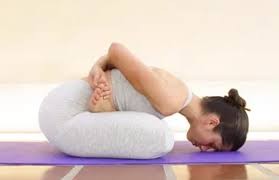Yoga Mudrasana