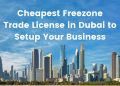 Cheapest Freezone Trade License in Dubai