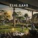 Amazingly Designed Elie Saab Arabian Ranches 3 Villas in Dubai