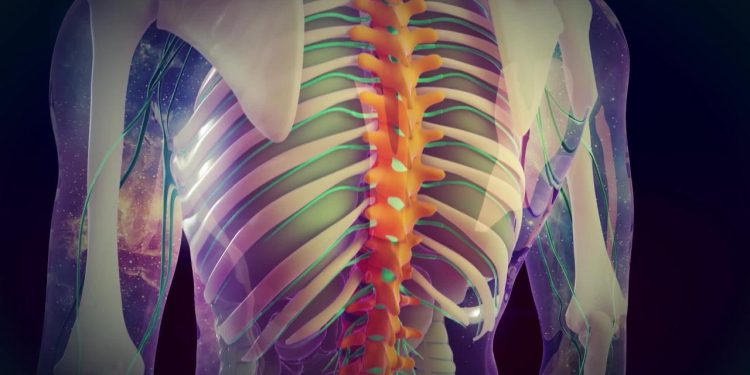 How-does-Dorsalgia-cause-compression-of-the-spinal-cord