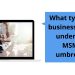What types of businesses fall under the MSME umbrella