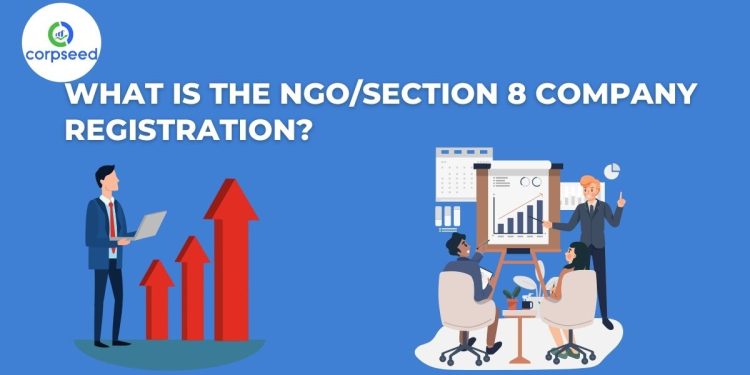 What is the NGO/Section 8 Company Registration?