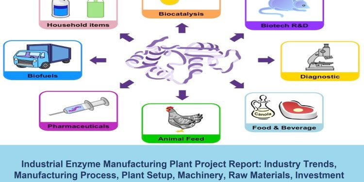 Industrial Enzyme Manufacturing Plant