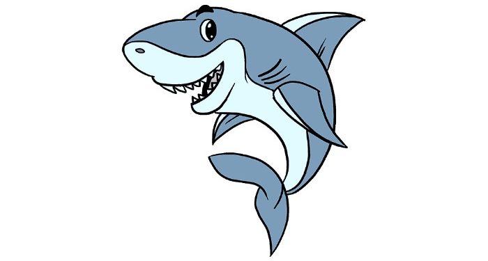 How to draw a cartoon shark