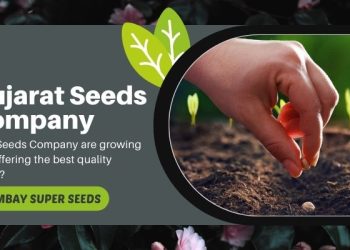Gujarat Seeds Company