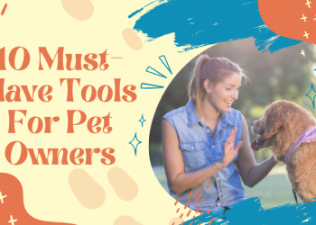 10 Must-Have Tools For Pet Owners