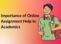 Importance of Online Assignment Help in Academics