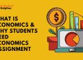 What Is Economics & Why Students Need Economics Assignment