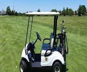 golf cart market report