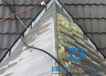 roof cleaning gold coast