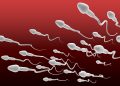 sperm count and treatment