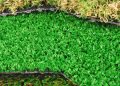 Synthetic grass Manufacturers