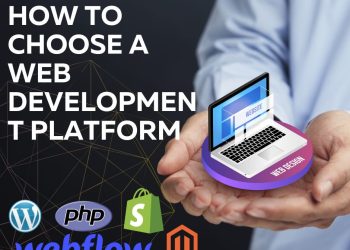 How to Choose a Web Development Platform For Your Business