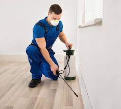 Termite Inspection Services in San Diego