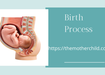 Birth Process